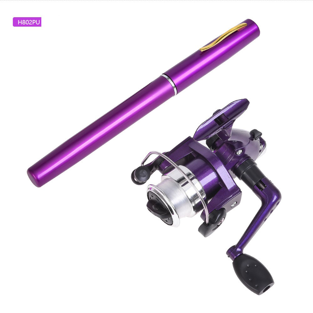 Mini Pen Vorm Hengel met Spinn - Penn Reel Fierce recensie en prijs